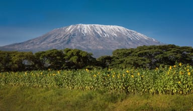 Kilimanjaro