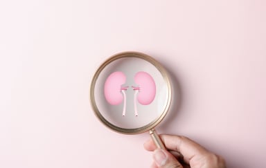 CKD: früh erkennen & gezielt behandeln